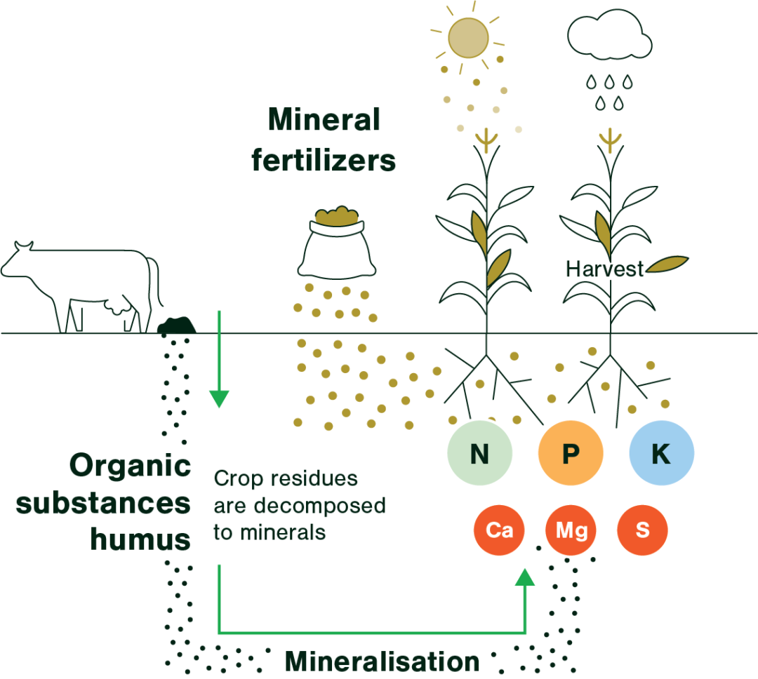 What Are Fertilizers Types Uses And Advantages Of Fer - vrogue.co