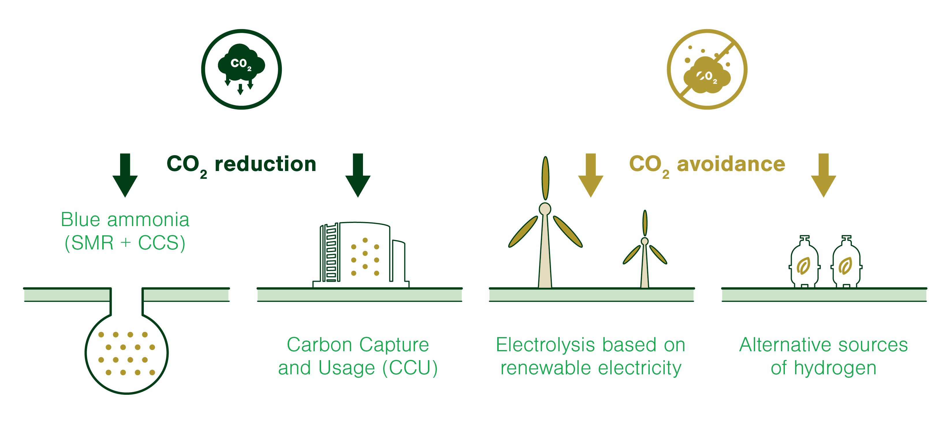 Paving the way to green ammonia and low-carbon fertilizers ...